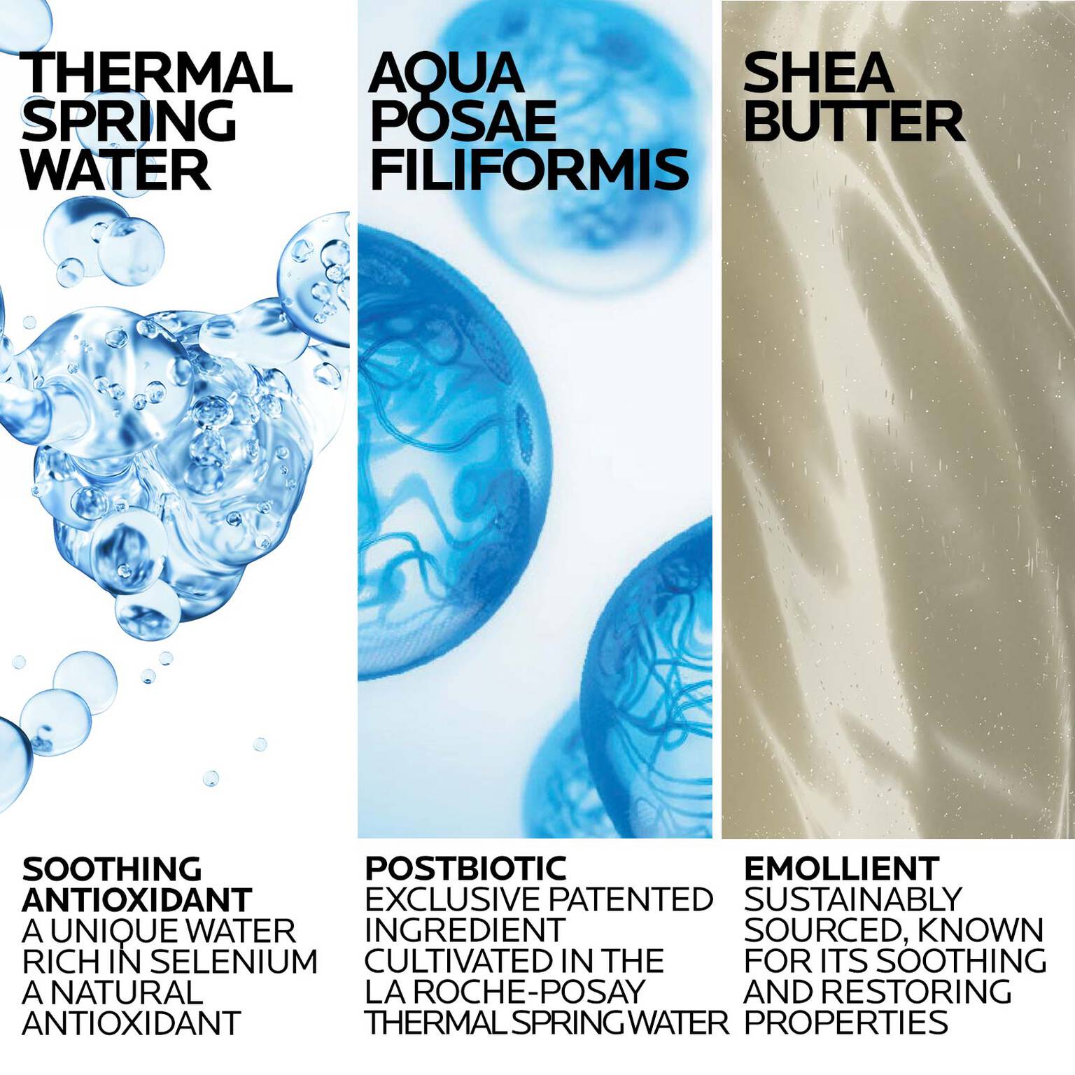 lipikar-wash-ap-moisturizing-body-and-face-wash-k8 Lipikar-Wash-ingredients_1500x1500-REV.jpg
